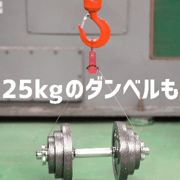 '--耐荷重 25kg